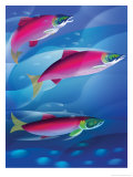 Salmon