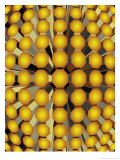 Buy Geometric Cylinder Pattern Texture at AllPosters.com