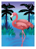A Flamingo Standing in Water