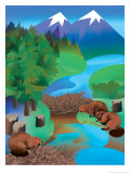 Buy A View of a Beaver Dam in a Mountain Stream at AllPosters.com