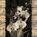 Buy Orchids in Bloom II at AllPosters.com