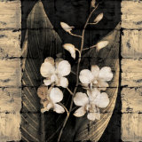 Buy Orchids in Bloom I at AllPosters.com