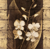 Orchids in Bloom I