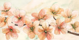 Buy Ciliegio in Fiore at AllPosters.com