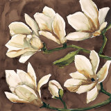 Buy Fiori di Magnolia at AllPosters.com