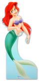 Ariel