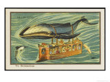Buy Whale-Bus at AllPosters.com