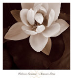 Buy Amazon Lotus at AllPosters.com