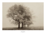 Buy Harmony in Fog at AllPosters.com