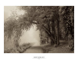 Buy Fog III at AllPosters.com
