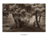 Buy The Old Bridge at AllPosters.com