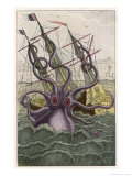 Kraken Attacks a Sailing Vessel
