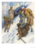 Buy Botanist Ronald Kaulback Finds Mysterious Tracks in the Snow at AllPosters.com