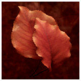 Buy Summerset Red at AllPosters.com
