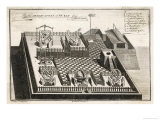 Buy Cross-Section of the Observatory Showing Globes Quadrants and Other Observational Equipment at AllPosters.com