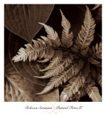 Buy Painted Ferns II at AllPosters.com