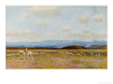 Buy The Roof of Australia, Kosciusko from the Bobundara Road at AllPosters.com