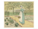 Girl Working in a Rural Kitchen Garden Collecting Cabbages