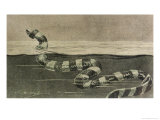 Buy Sea Serpent Look-Alike a Sea Snake at AllPosters.com