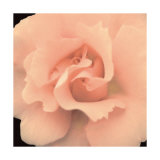 Buy Bliss I at AllPosters.com