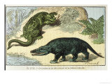 An Iguanodon and a Megalosaurus of the Cretacean Era