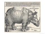 Buy The Indian Rhinoceros is the Largest of the Asian Spiecies at AllPosters.com