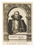 Buy Tycho Brahe Danish Astronomer at AllPosters.com