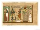 Buy Osiris-Seker Within a Shrine Adored by Ani and His Wife Plate at AllPosters.com