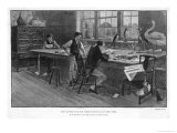Buy Thomas Bewick the Eminent Engraver and His Assistants Making Woodcuts of Stuffed Birds at AllPosters.com