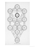 Buy The Tree of Life of the Jewish Caballa at AllPosters.com