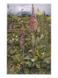 Naked Fairies Among the Foxgloves in Ancient Britain
