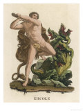 Buy Hydra Suffering at the Hands of Herakles at AllPosters.com