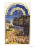 Buy Swineherd Throws His Stick Among the Oak Branches to Bring Down the Acorns to Feed His Animals at AllPosters.com