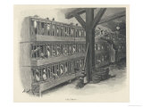 Buy Battery Farming in 19th Century France at AllPosters.com