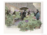 Buy Purchasing Greenery for Christmas Decorations at Les Halles Paris at AllPosters.com