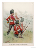 Buy 87th Regiment at AllPosters.com