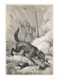 Buy St. Bernard Rescuing at AllPosters.com