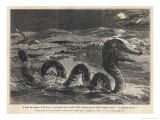 Buy Don Sea Serpent at AllPosters.com