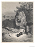The Lion and the Mouse