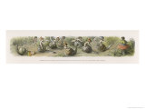 Buy The Swiftest Snails in Fairyland at AllPosters.com
