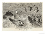 Witches Frolicking in the Waves