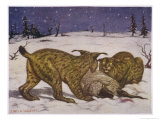 Two Lynxs Devour a Sheep