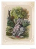 Buy Brave Little Dog Protects Its Owners by Confronting a Snake at AllPosters.com