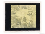 Buy The Moon's Surface Showing Kepler, a Spot of Remarkable Brilliancy at AllPosters.com
