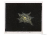 Buy The Nebula of the Constellation Hercules at AllPosters.com
