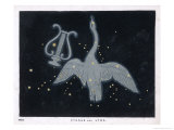 The Constellation of Cygnus, a Flying Swan, and Lyra, That of an Ancient Greek Lyre