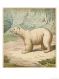 Buy Polar Bear Stands in an Icy Setting at AllPosters.com