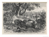 Buy At La Rochette Three Country People Bitten by a Rabid Wolf Die in Agony at AllPosters.com