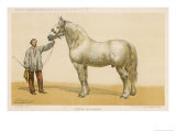 Buy This 7-Year Old Stallion Understandably Won First Prize at the Agricultural Show at Niort at AllPosters.com