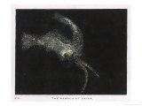 Buy The Nebula of the Constellation Orion at AllPosters.com